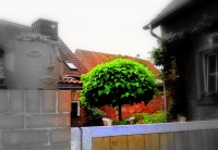 /album/specht-vorstadt/aussen11-jpg/